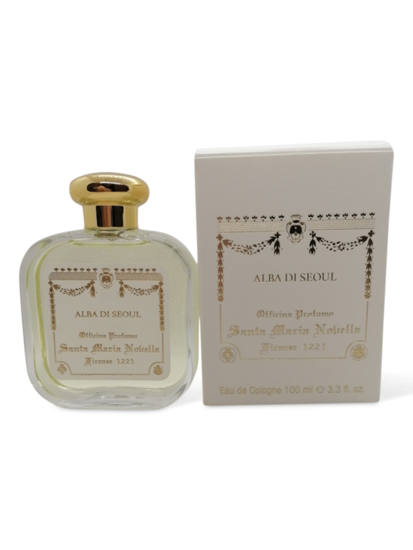 ショッピングモール Alba di Seoul〈Santa Maria Novella〉 現地購入品